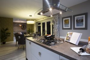 _bellway rosebury new night showhome 5aa.jpg